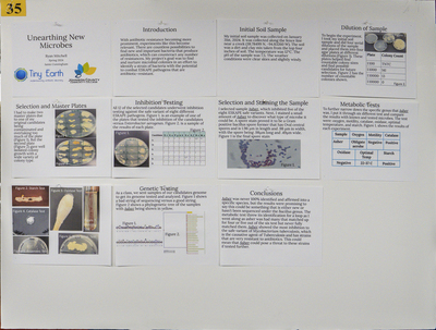 stem poster
