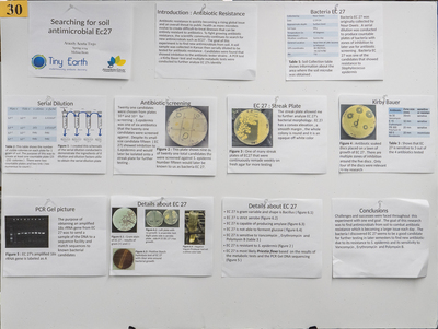stem poster
