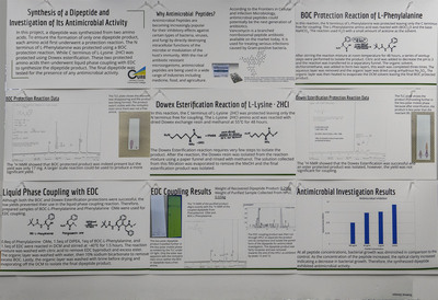 stem poster
