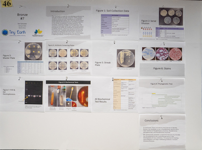stem poster