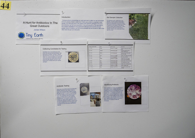 stem poster