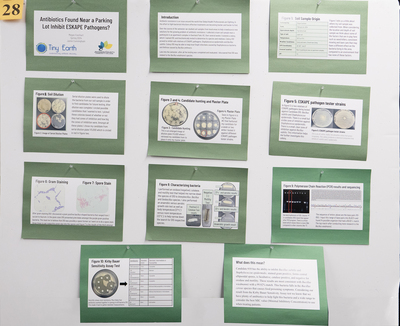 stem poster