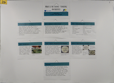 stem poster