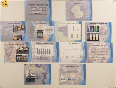 stem poster