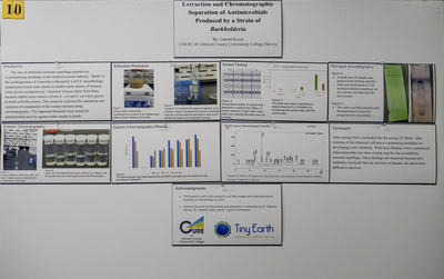 stem poster