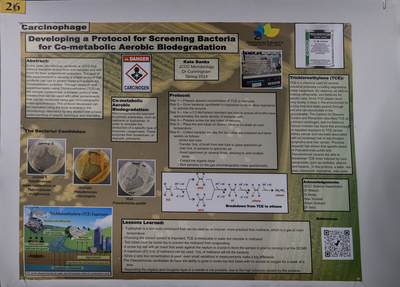 stem poster