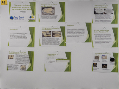 stem poster