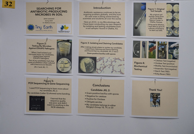 stem poster