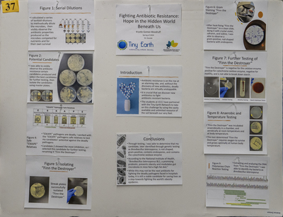 stem poster