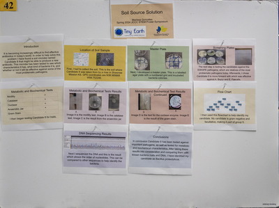 stem poster
