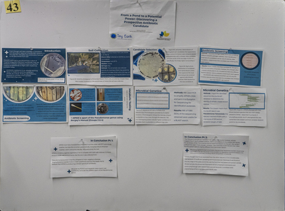 stem poster