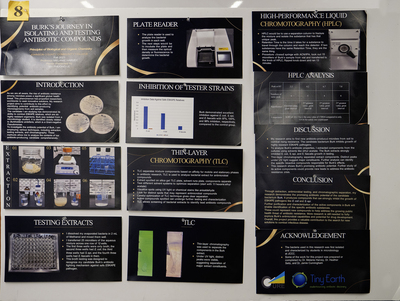 stem poster