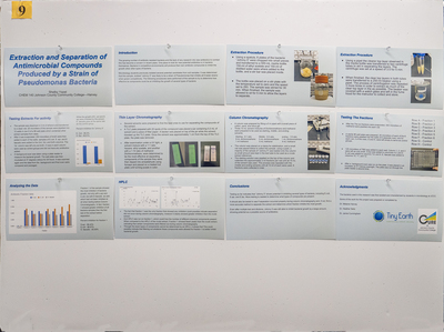 stem poster