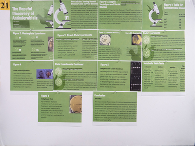 stem poster