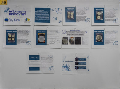 stem poster