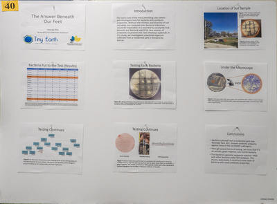stem poster