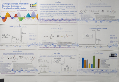 stem poster