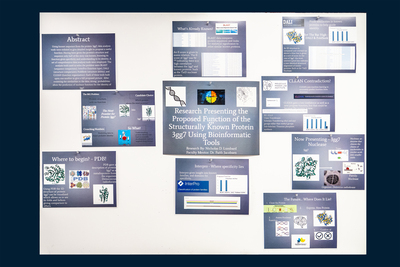 stem poster
