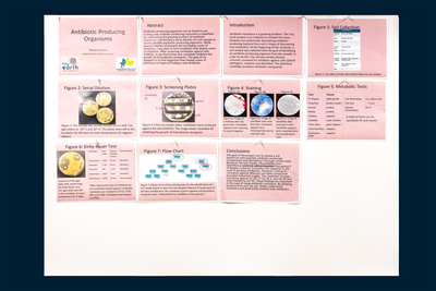 stem poster
