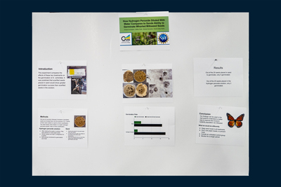 stem poster