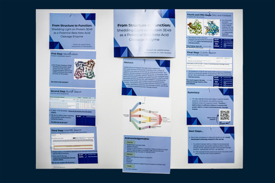 stem poster