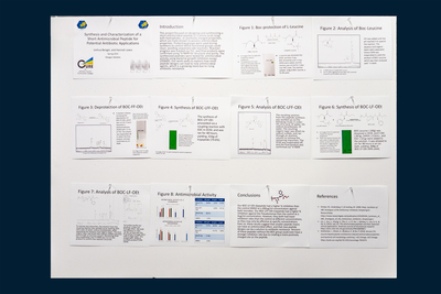 stem poster