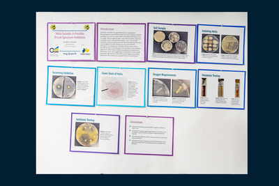 stem poster