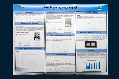 stem poster
