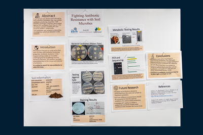 stem poster