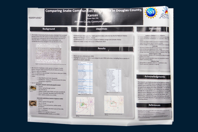 stem poster