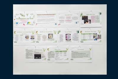 stem poster