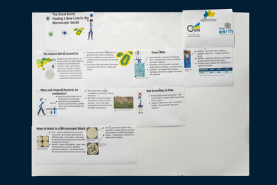 stem poster
