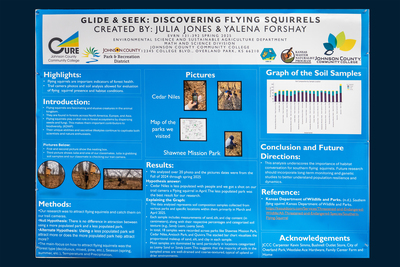 stem poster
