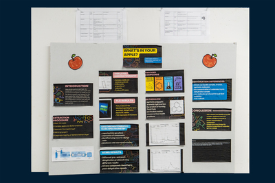 stem poster