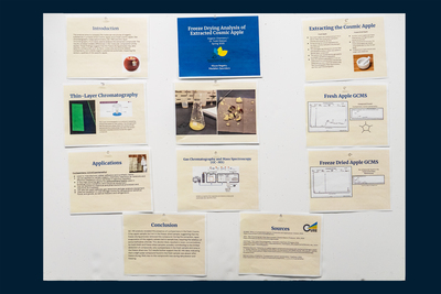 stem poster