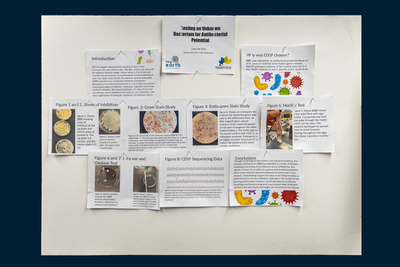 stem poster