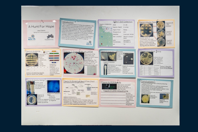 stem poster