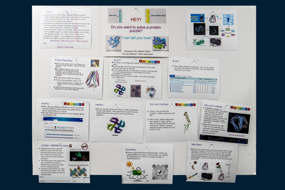 stem poster