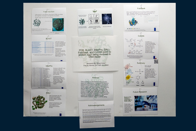 stem poster