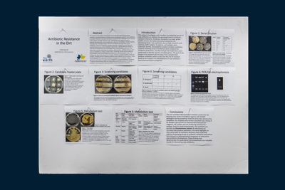 stem poster