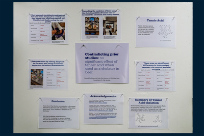 stem poster