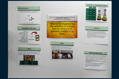 stem poster