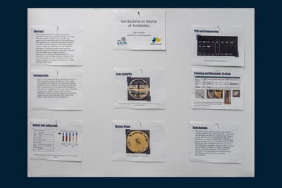 stem poster