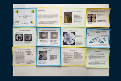 stem poster