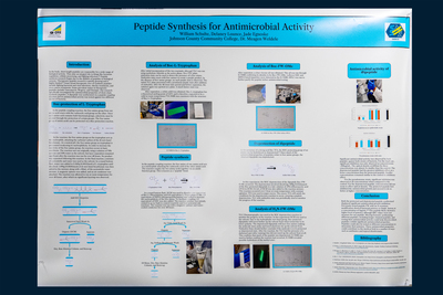 stem poster