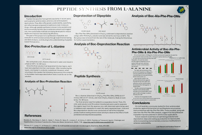 stem poster