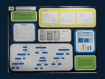 stem poster
