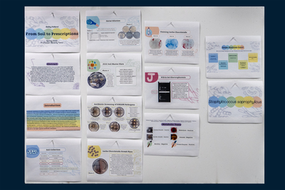 stem poster