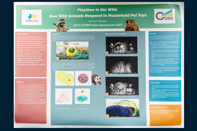 stem poster