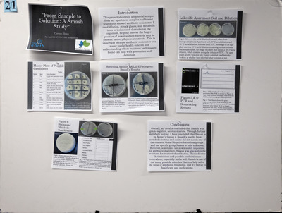 image preview